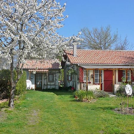 Guesthouse La Burle Parentis-en-Born Ruang foto