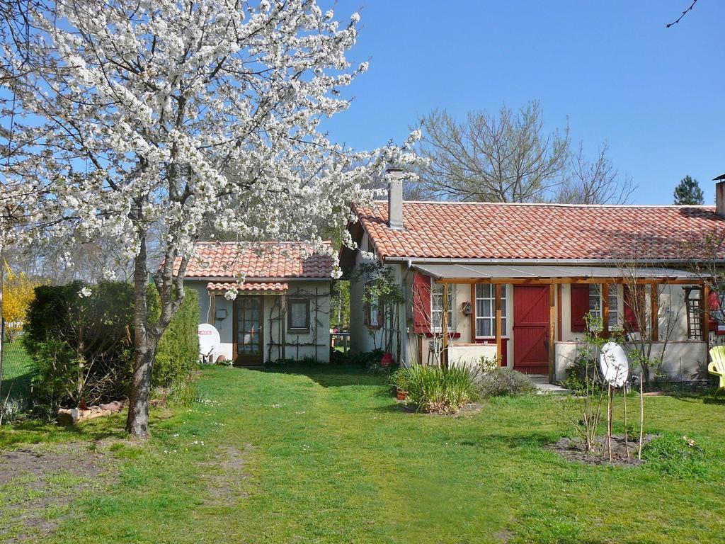 Guesthouse La Burle Parentis-en-Born Ruang foto