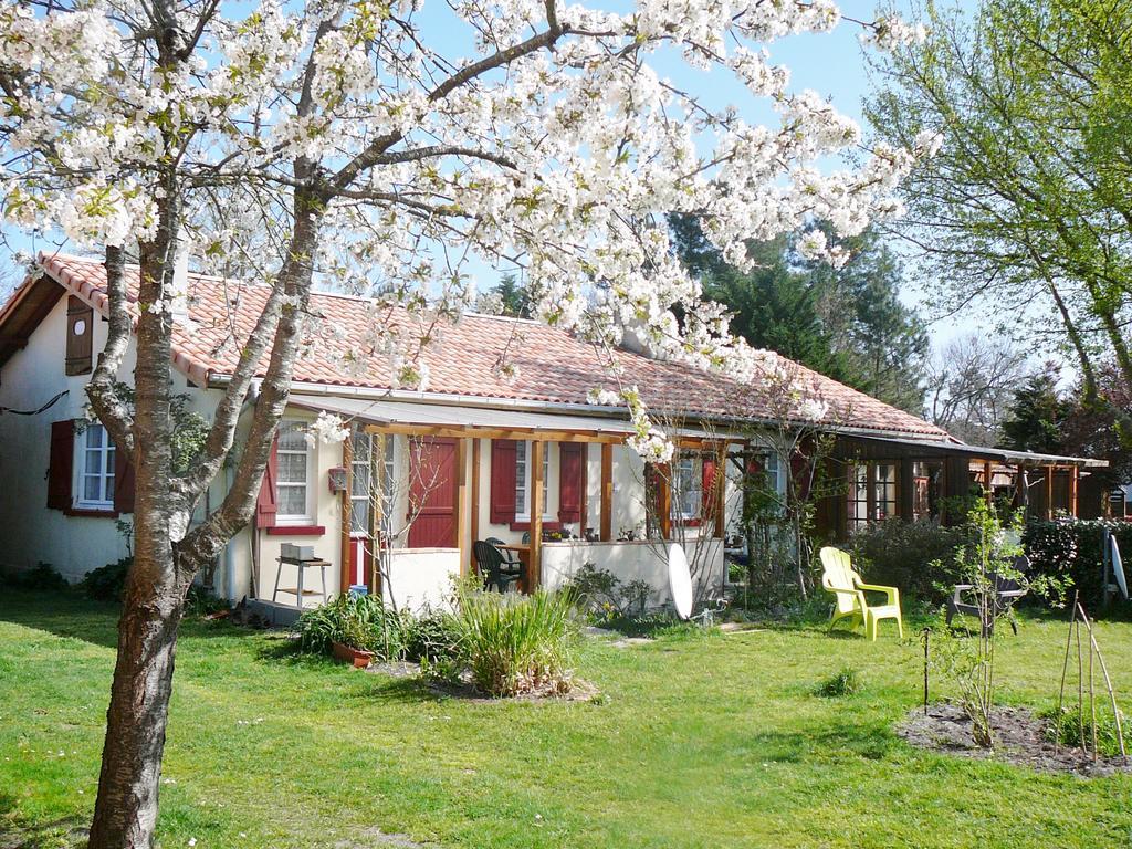 Guesthouse La Burle Parentis-en-Born Ruang foto