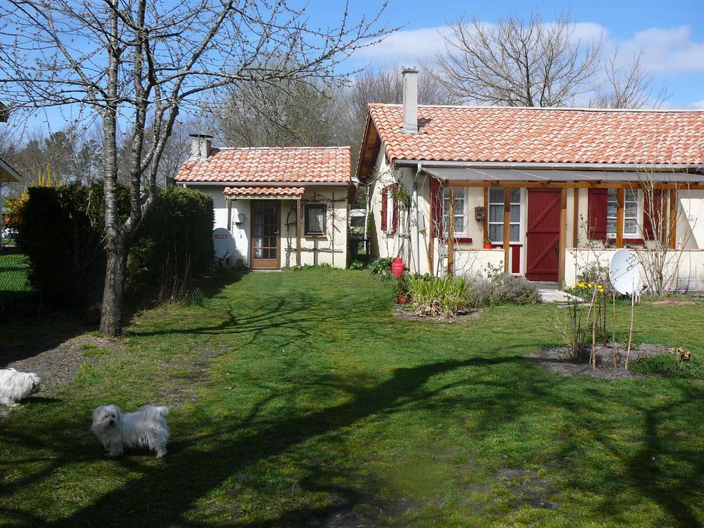 Guesthouse La Burle Parentis-en-Born Ruang foto