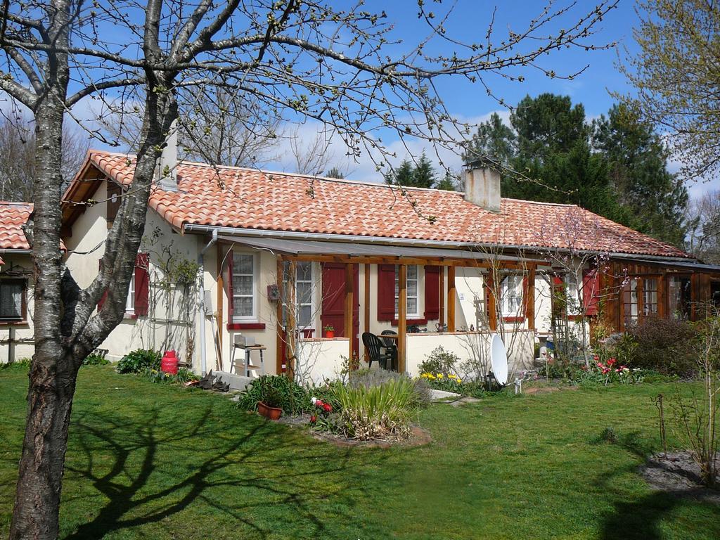 Guesthouse La Burle Parentis-en-Born Ruang foto