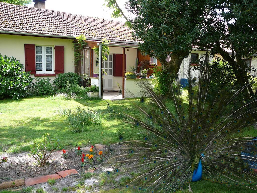 Guesthouse La Burle Parentis-en-Born Bagian luar foto
